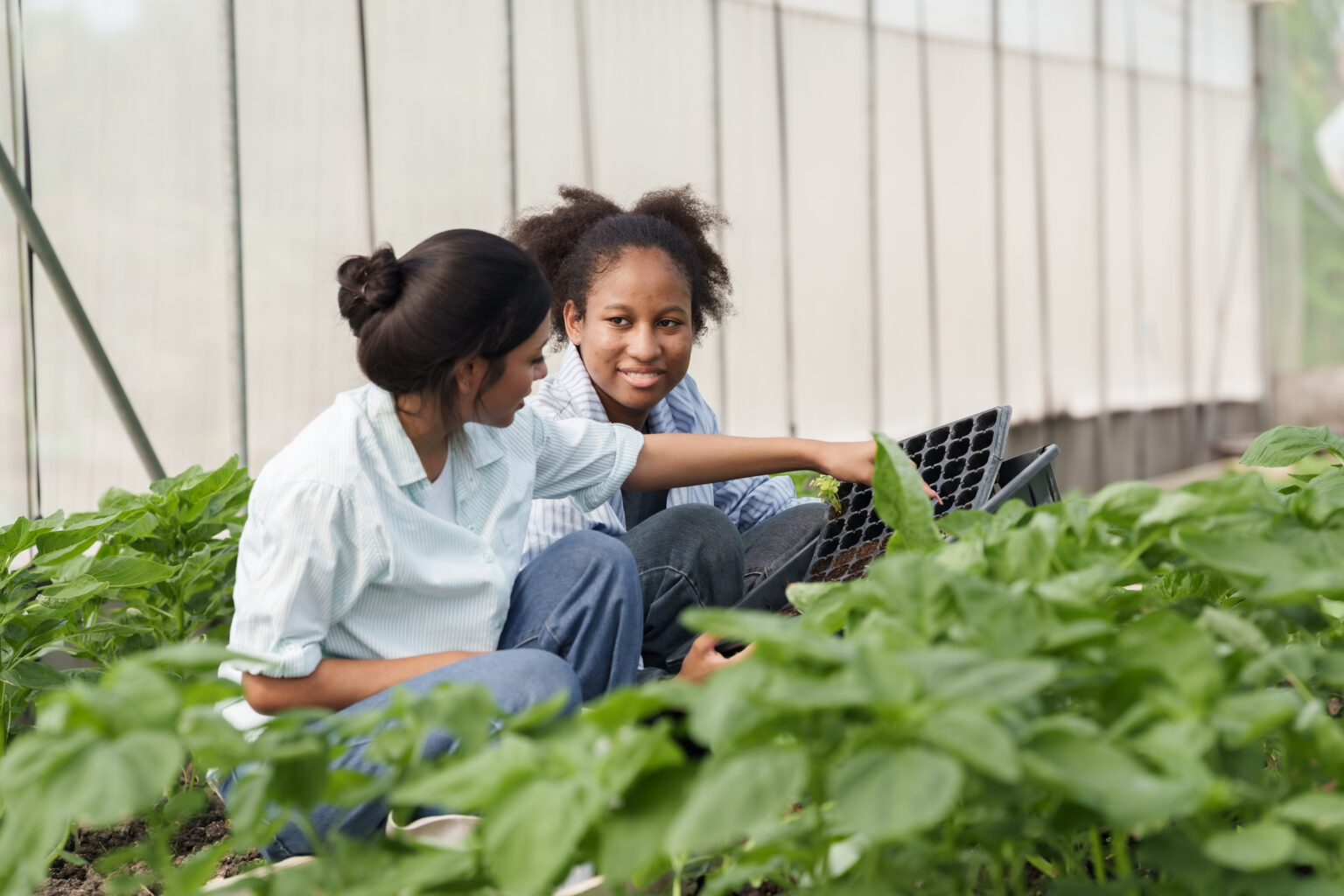 FIU Mini Farm & Learning Lab – Neighborhood Farms USA